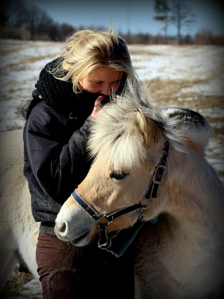Fjordhest Egebæks Kasio. - Elsker dig :')  billede 12