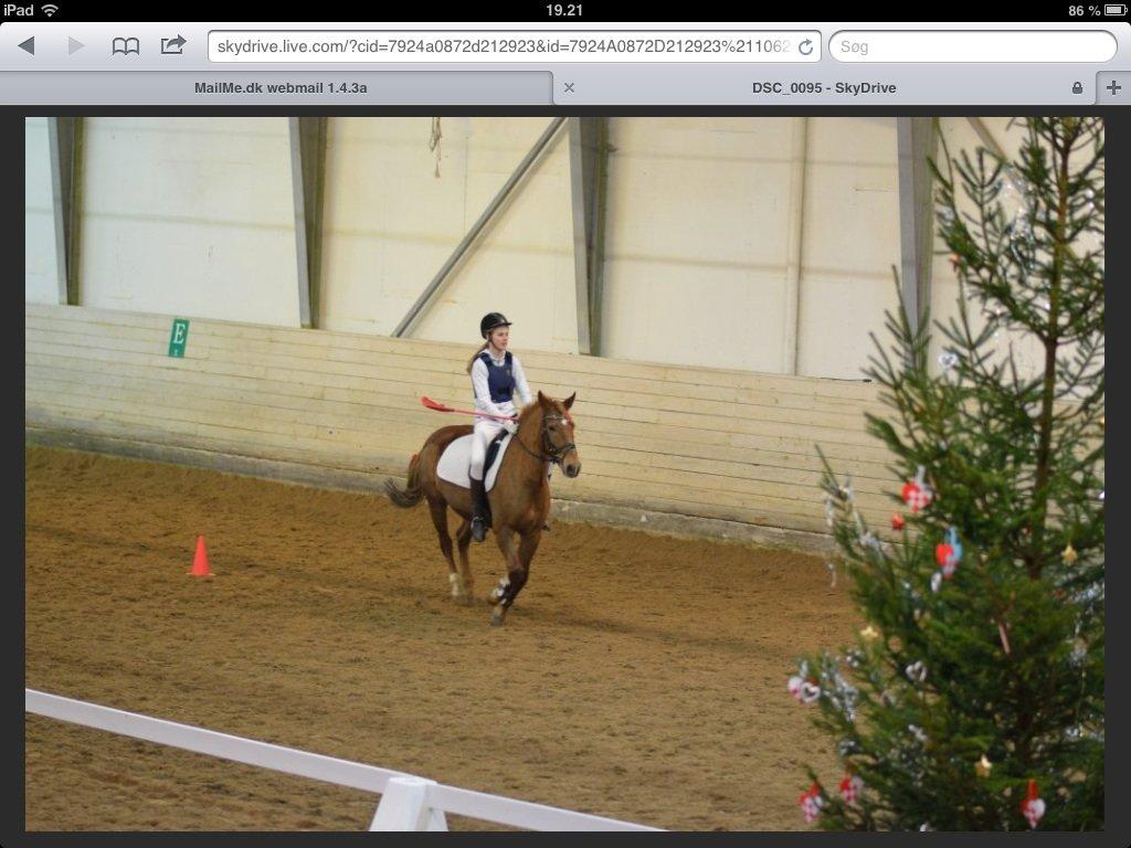 Anden særlig race Duncan - juleshow 2012 billede 16