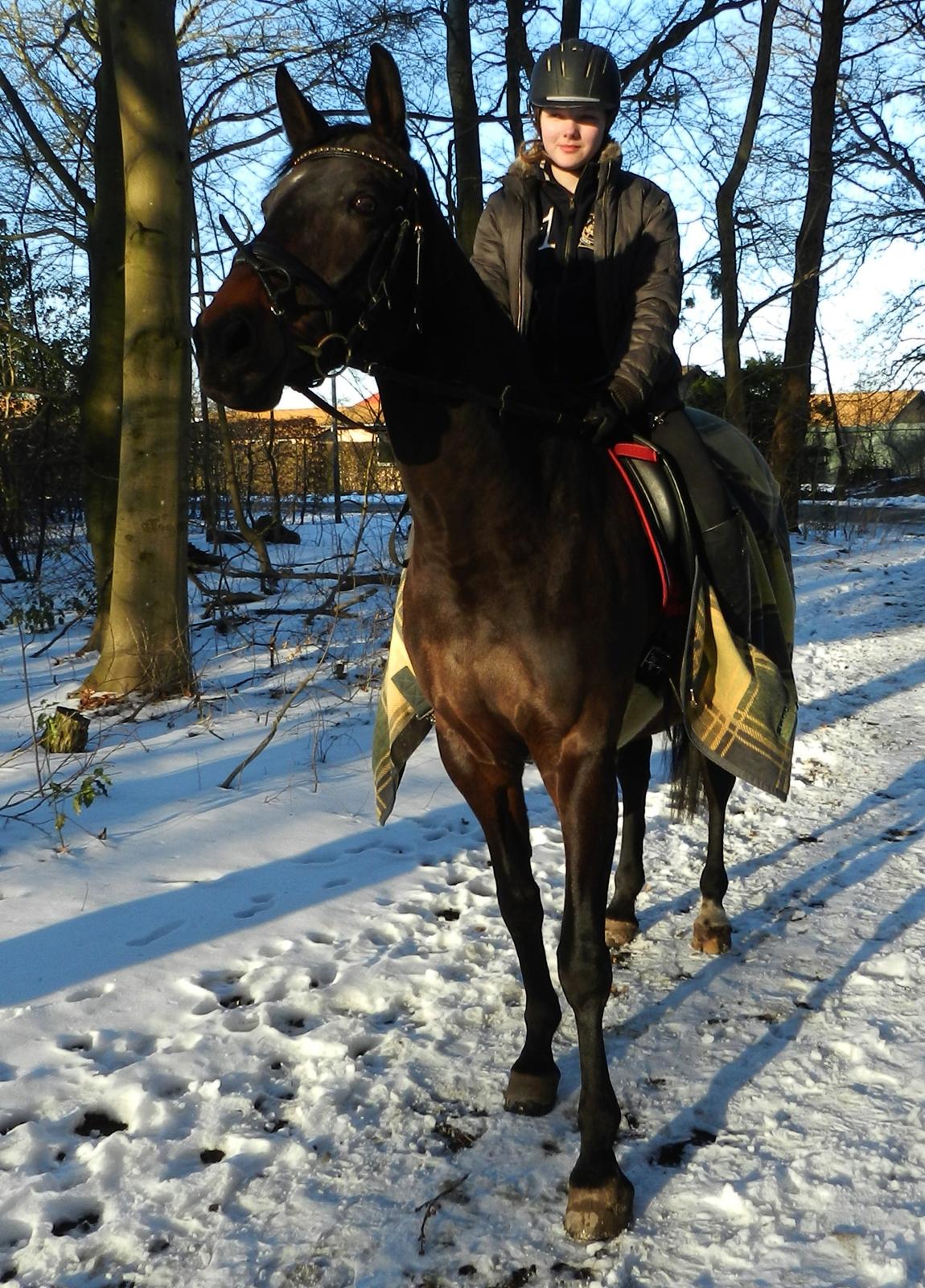 Polsk Varmblod Gaja "R.I.P" :'( - Gaja og jeg på tur i skoven :) billede 12