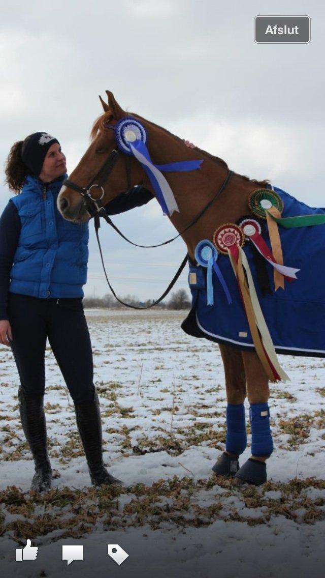 Anden særlig race <3Kashmir Mit et og alt<3 billede 19