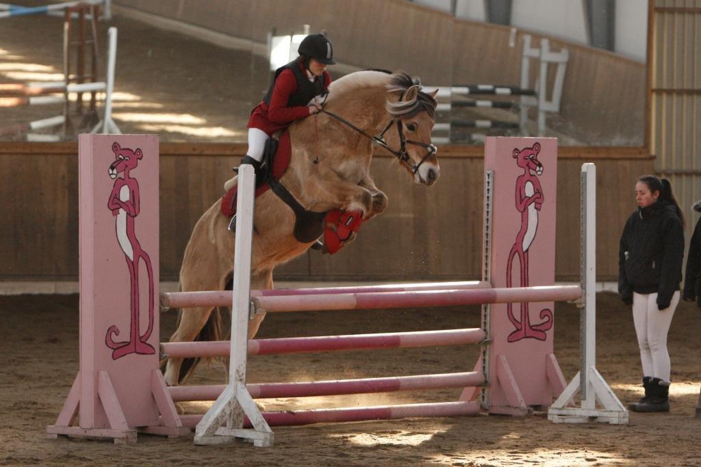 Fjordhest Mastrup Ally - Ally og jeg i vores anden LD for hest :) Marts 2013. Foto: AM billede 17
