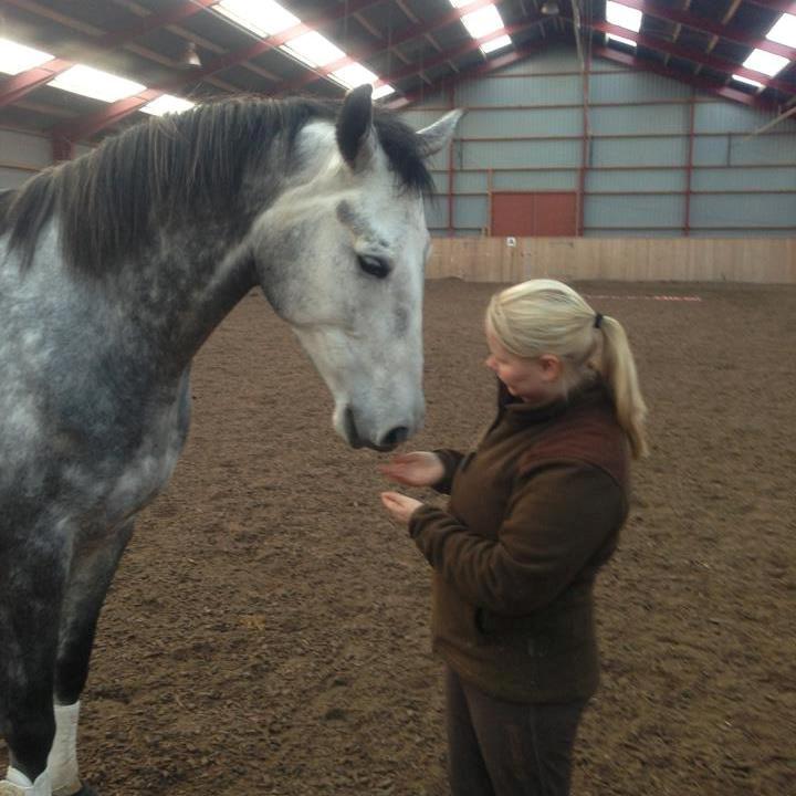 Anden særlig race Søndergårds Ravdi billede 7