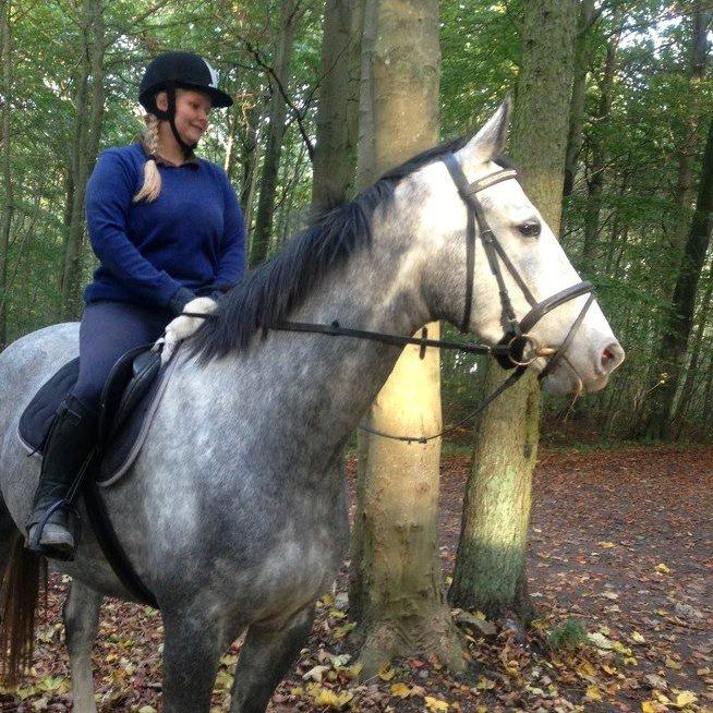 Anden særlig race Søndergårds Ravdi billede 10