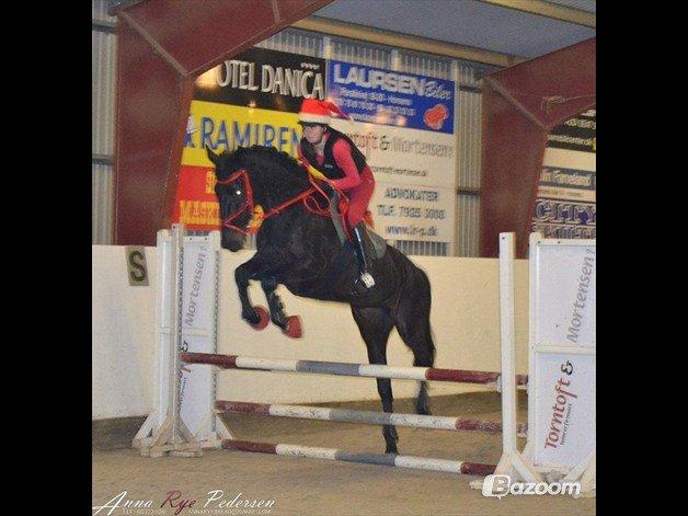 Anden særlig race Chili - Sara og Chili, julestævne. billede 16