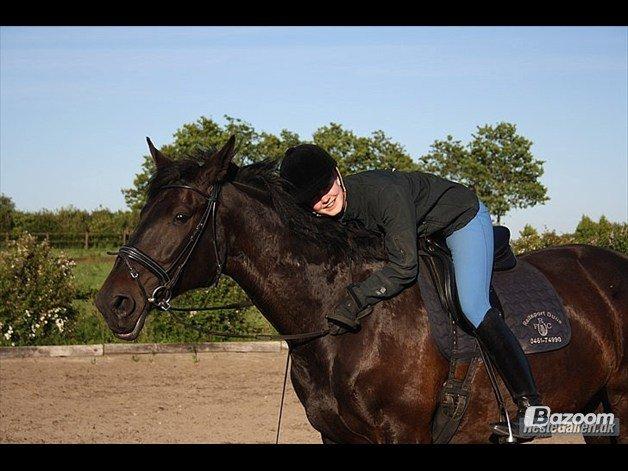 Anden særlig race Chili - Sara og Chili. billede 5