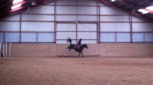 Anden særlig race Natasja (Tusja) - Januar 2013 - Normal træning når temperaturen er  i minus :-D  billede 10