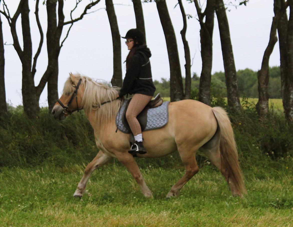 Anden særlig race Tøsen (-:. - Sommeren 2012 <3. billede 15