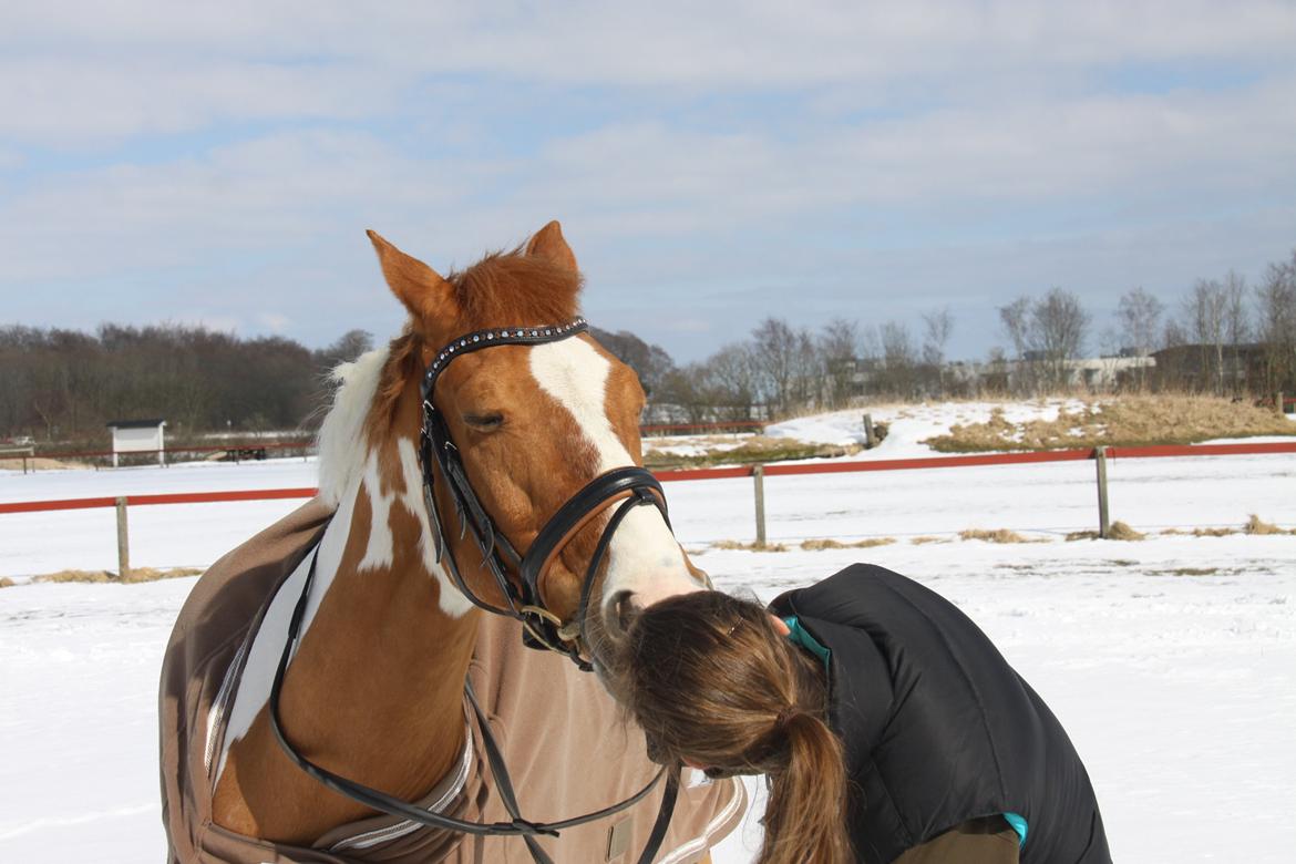 Anden særlig race Trebjerregårds Grand Manier - Hinandens yndlings! billede 23