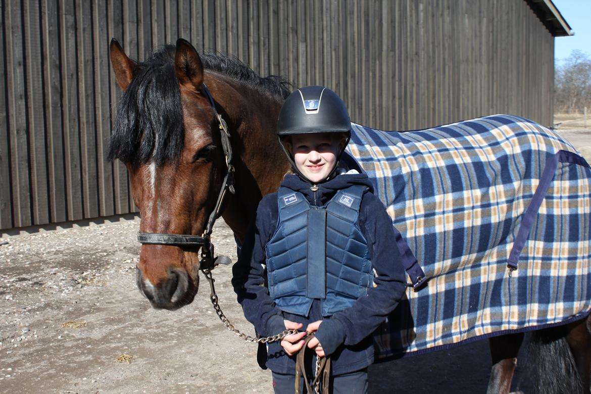 Connemara Hesteklewas Cadot ( B pony) - D. 27-3-13 <3
Foto: Mathilde HVC billede 2