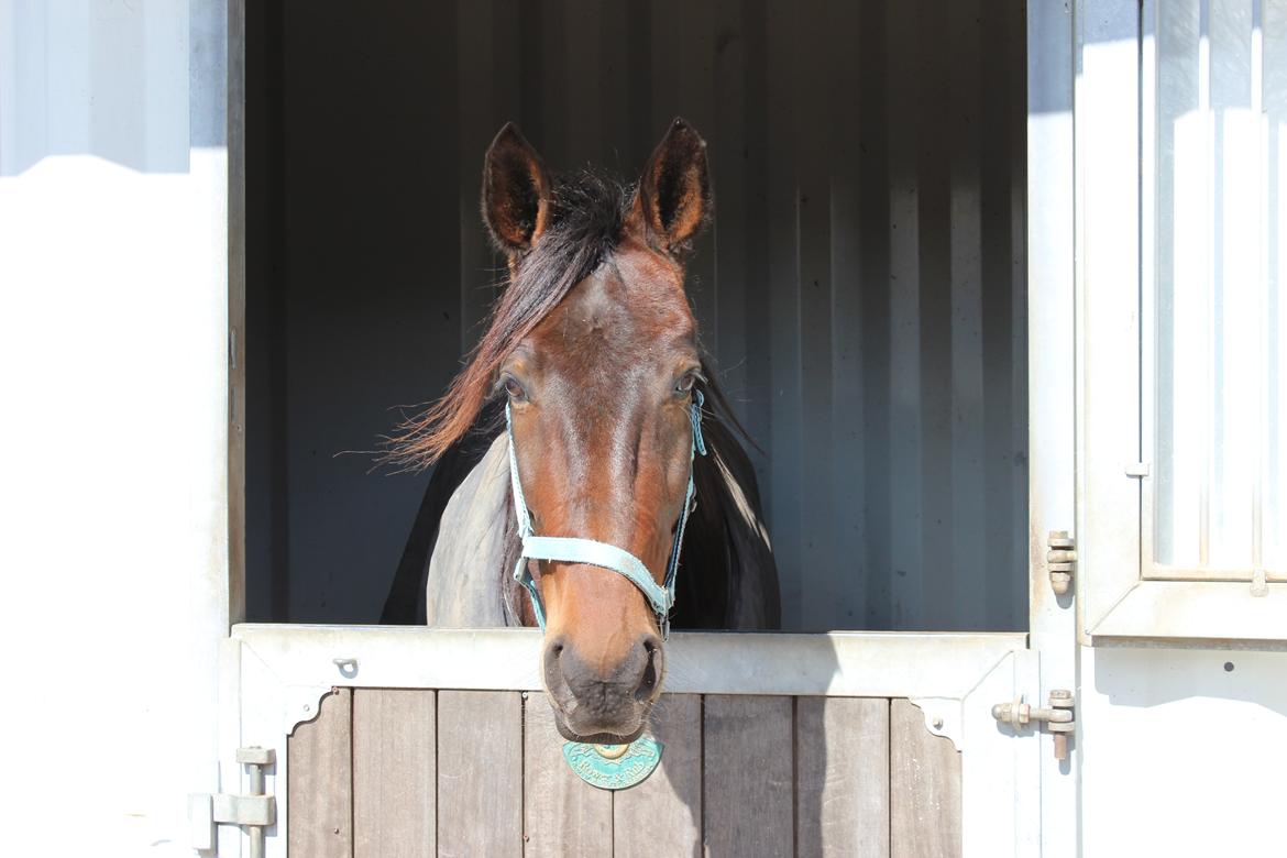 Traver Odin Toft - DU er virkelig den smukkeste af alle ;) billede 3