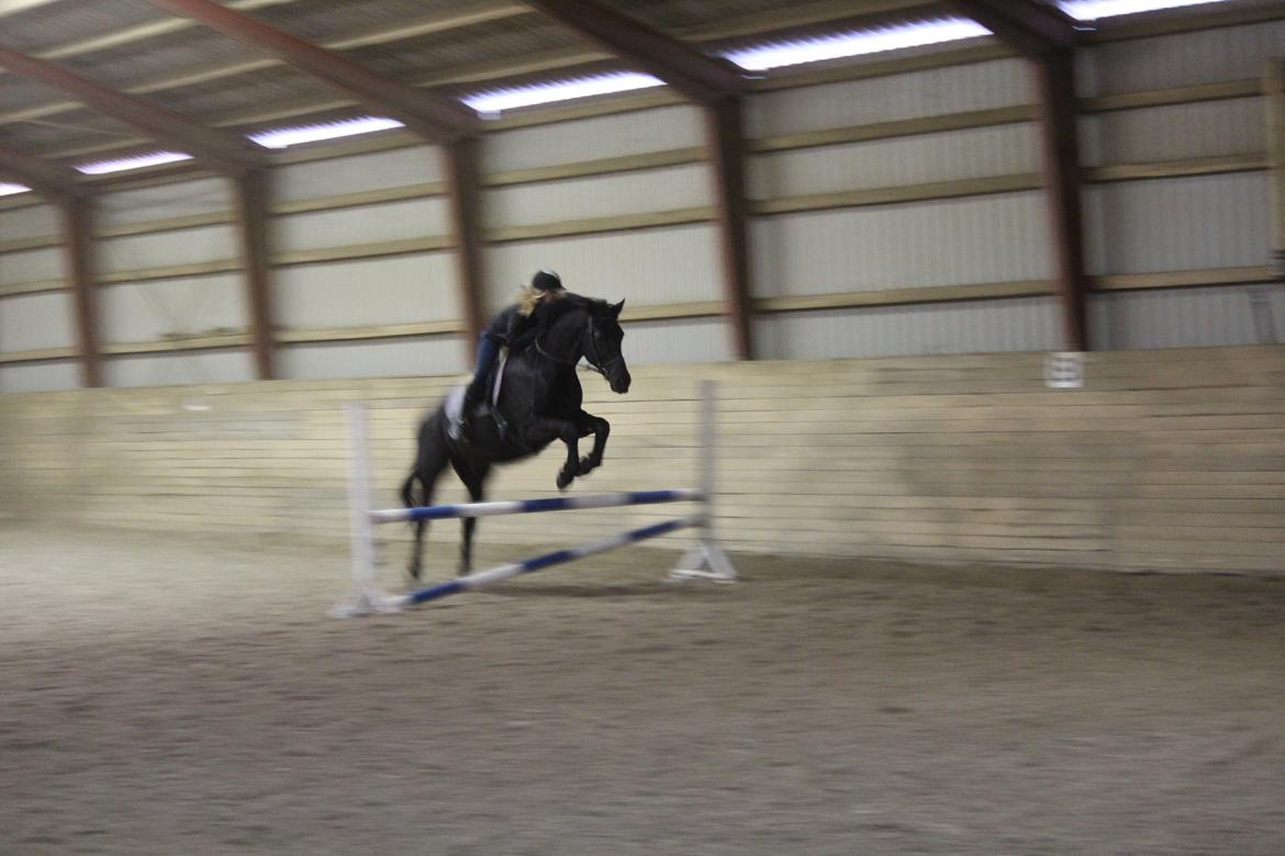 Oldenborg Gaston billede 15