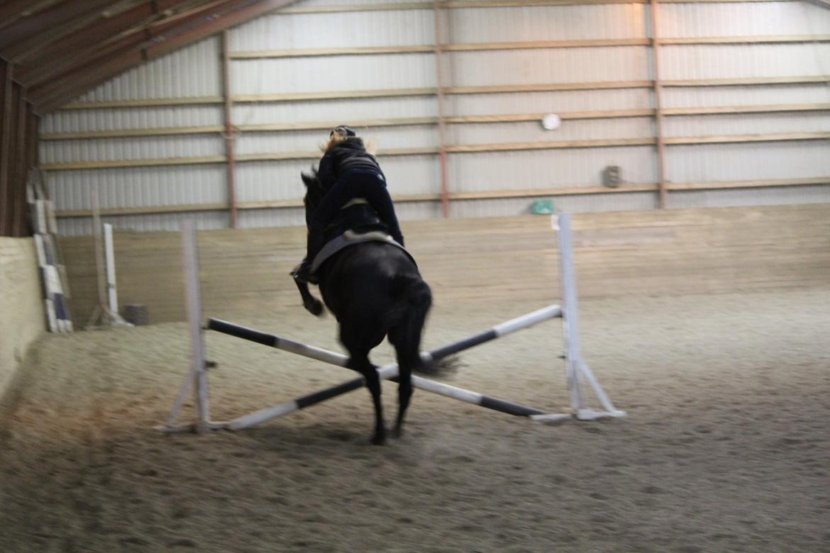 Oldenborg Gaston billede 17