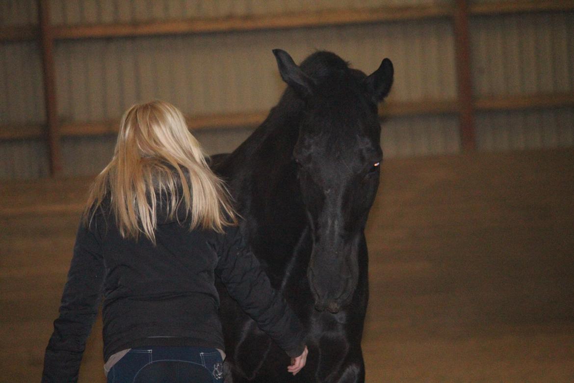 Oldenborg Gaston billede 18