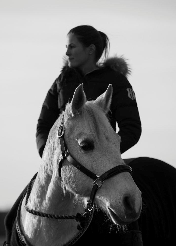 Anden særlig race Silverlea Picasso - Foto: Tine Bjørnø. Marts 2013.  billede 8