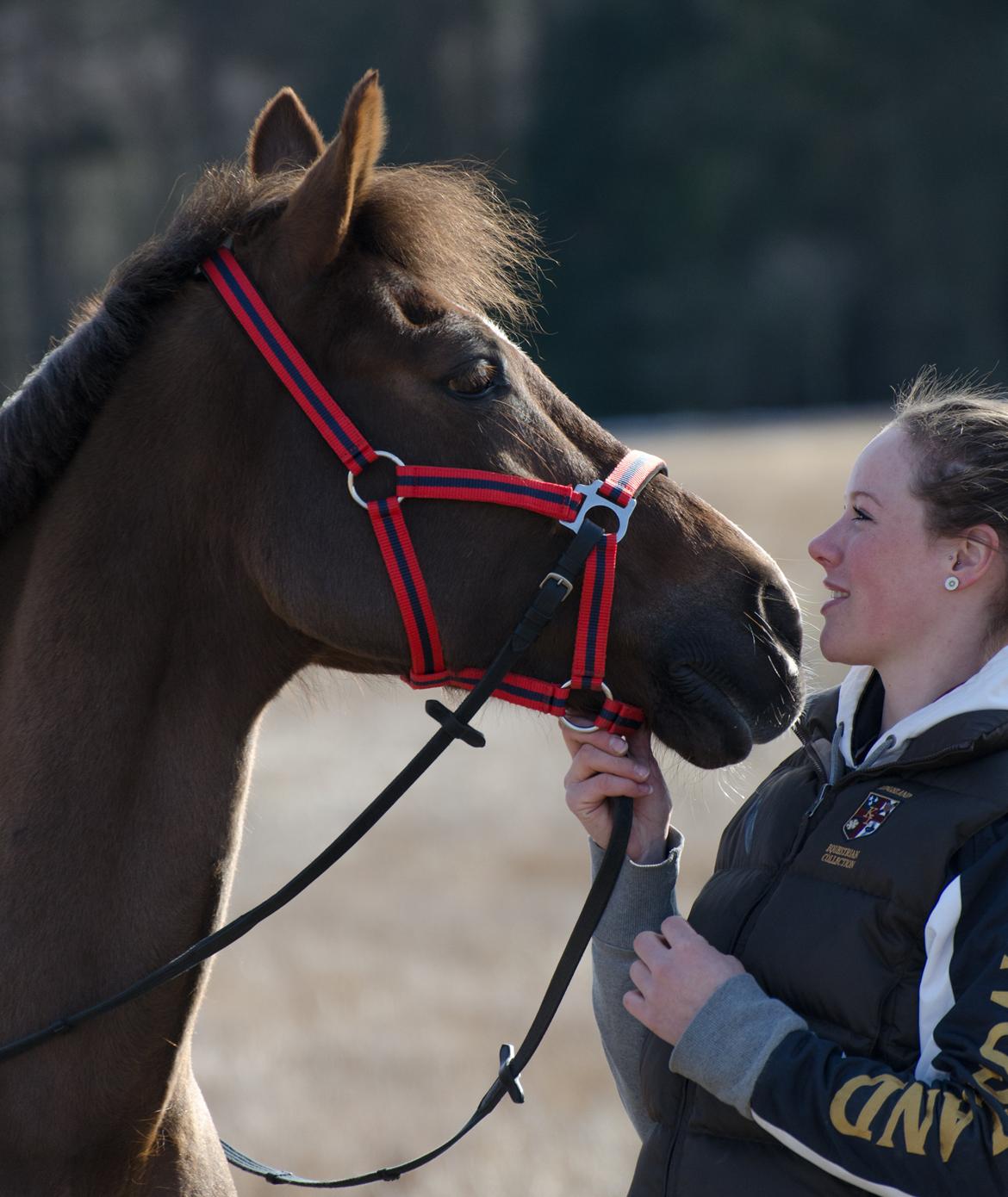 New Forest Valkenhoeve's Zoë - Når en engel siger farvel <3 billede 20