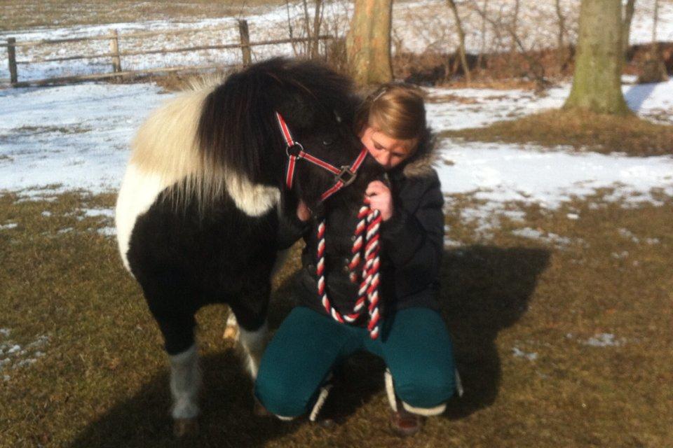 Shetlænder Olivia - Skatten <3 (Himmelhest) - Min Skat  <3 :-* billede 2