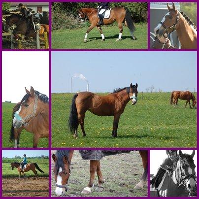 DSP Aluett <3 *min* (Savnet) - Bare en masse billeder:-). billede 20