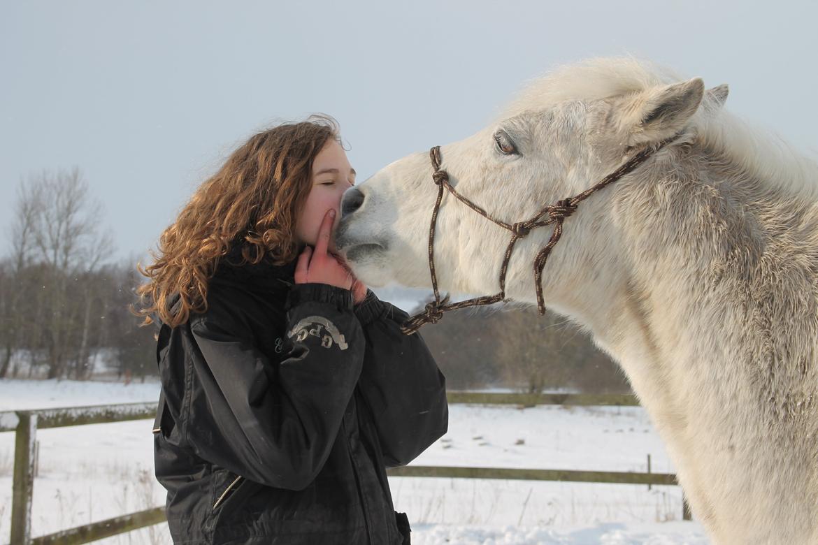 Anden særlig race Frisser [Might'N Magic] - Kiss me<3 | Marts 2013 | Foto: Tonja. billede 4