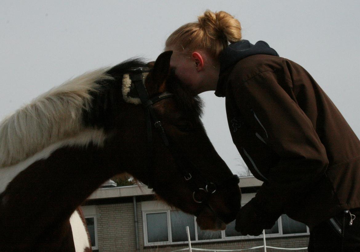 Anden særlig race Pinocchio Star billede 11