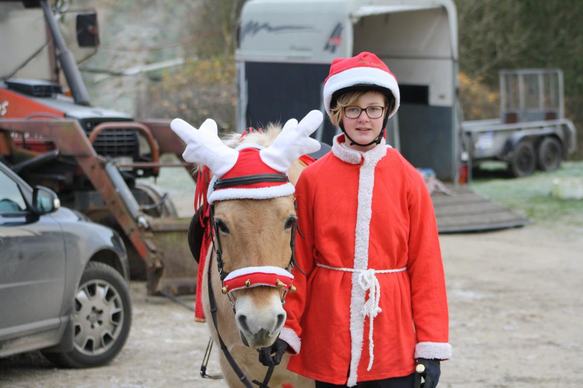 Fjordhest Toby [Har Redet] - Toby og Mille til julestævne :) billede 7