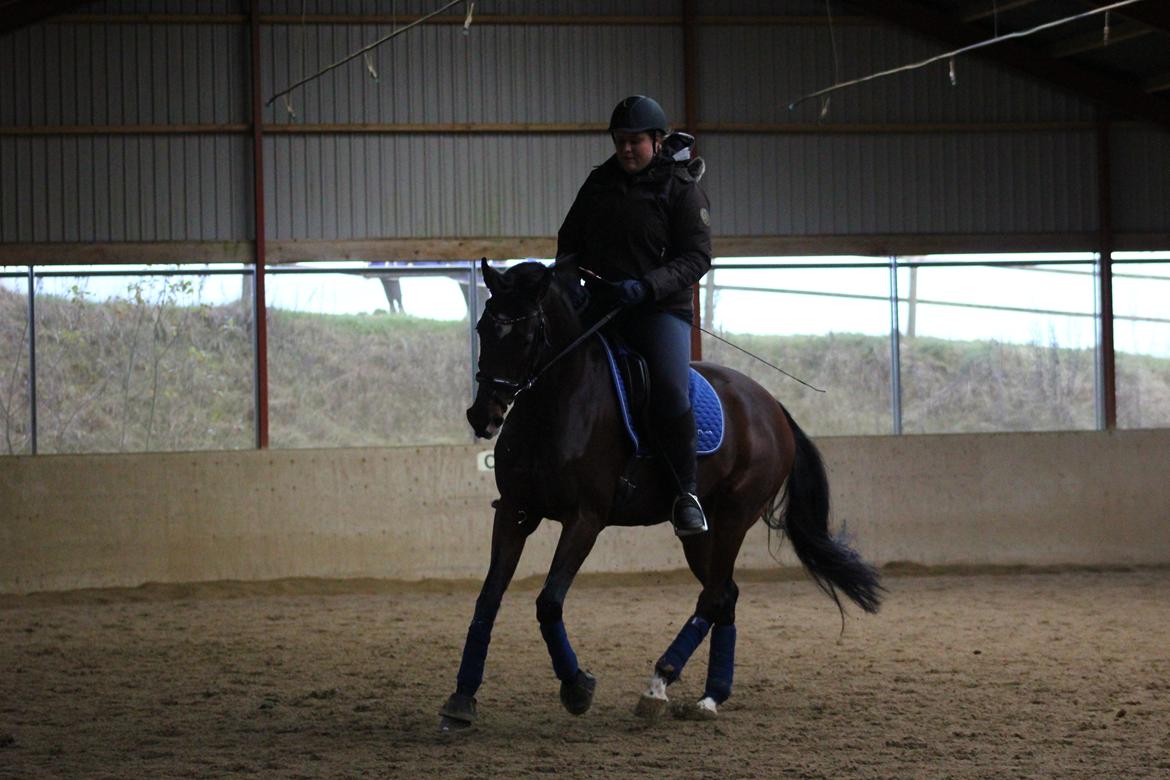 Oldenborg ROSENGÅRDENS CALIOPI - Lerbækhus - november 2012. billede 19
