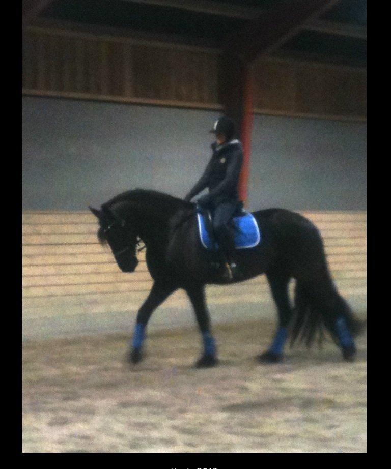 Frieser Oliver, STER billede 24
