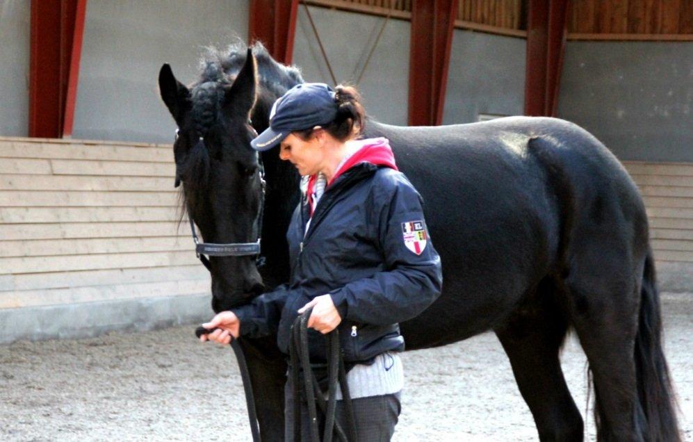 Frieser Max, STER billede 20