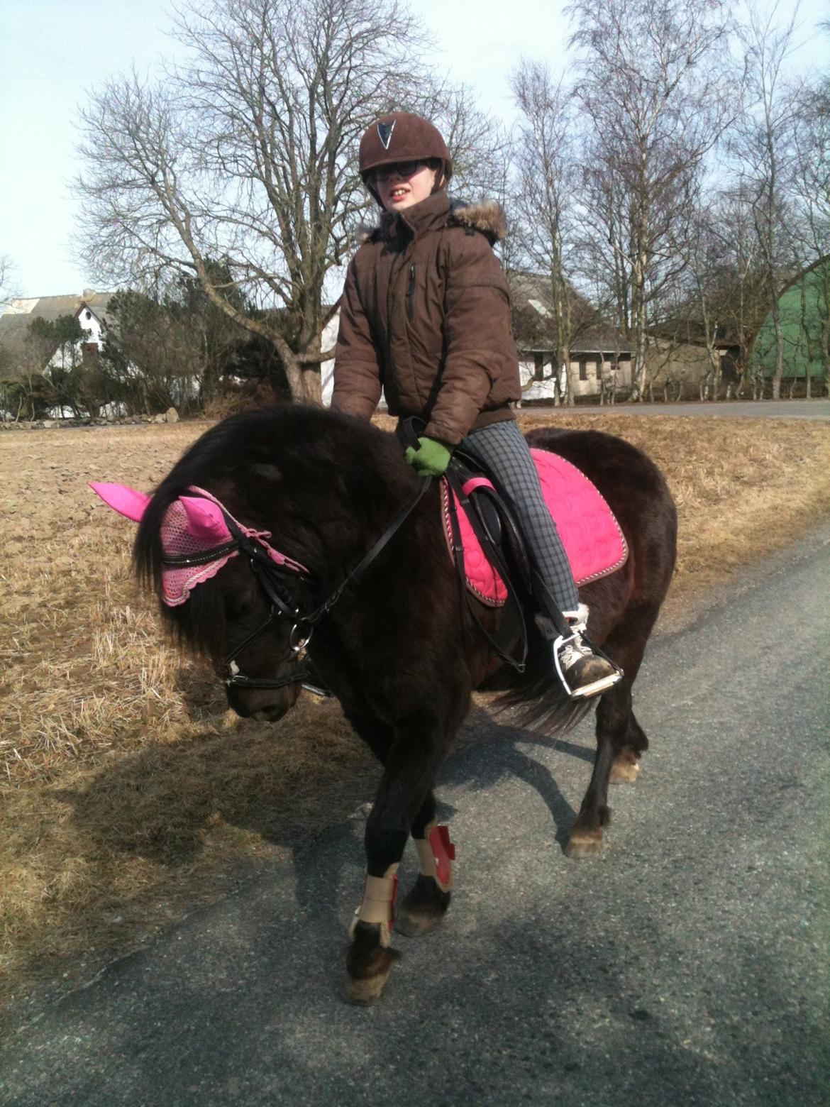 Anden særlig race Wesselhoff´s Nala <3 Solgt og savnet <3 billede 17