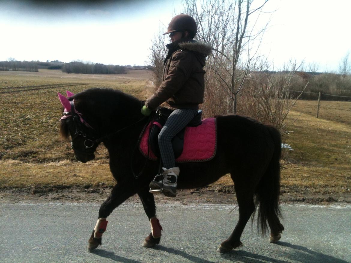 Anden særlig race Wesselhoff´s Nala <3 Solgt og savnet <3 billede 19
