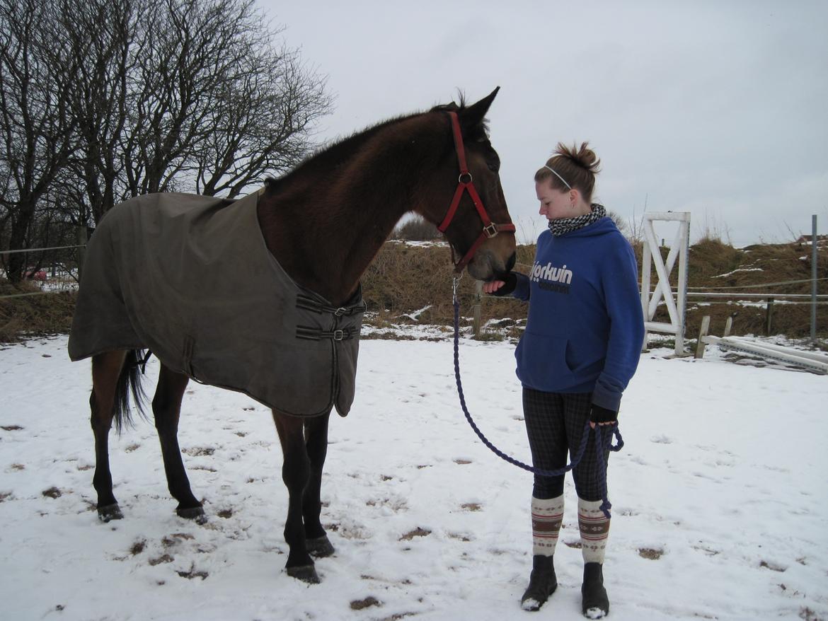 Traver Ærtig K - Dagen efter Ærtig kom hjem:)
 billede 5