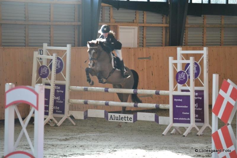 Anden særlig race Simba  - Nice :D billede 15