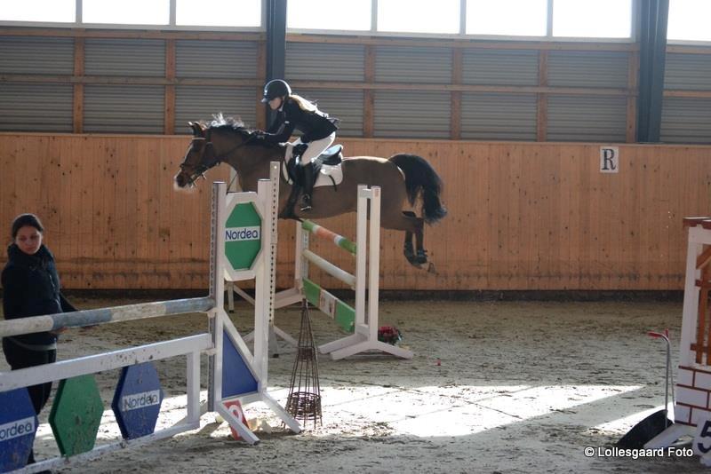 Anden særlig race Simba  - simba you are nice! <3 billede 6