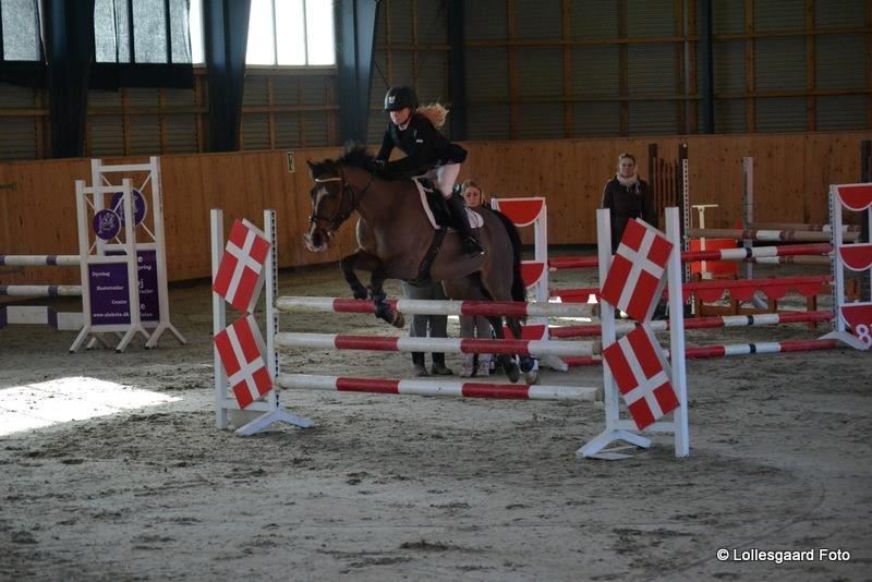 Anden særlig race Simba  - <3
 billede 8