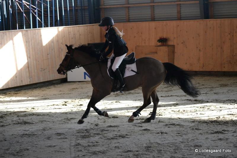 Anden særlig race Simba  - Simba are sweet :) :D ;) <3 billede 12