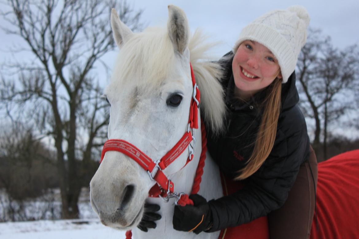 Anden særlig race Snowball billede 11