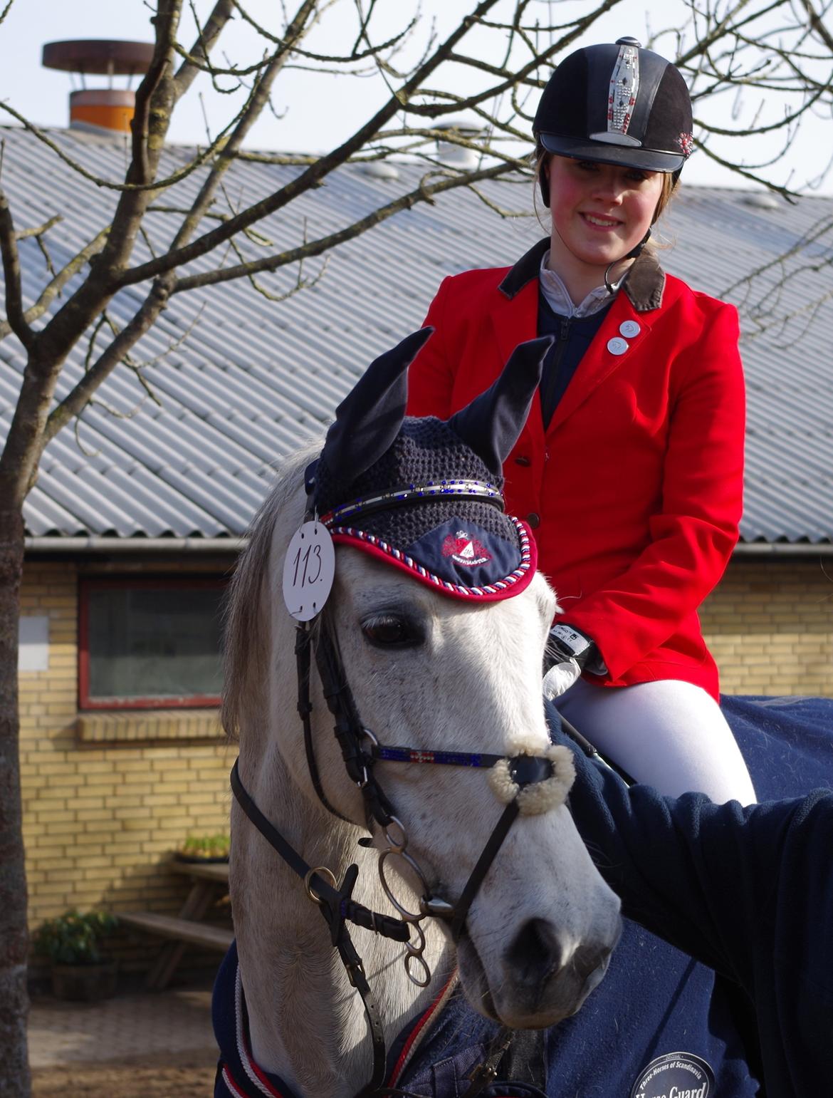 Andalusier Django - Første distrikt stævne. LC. billede 2