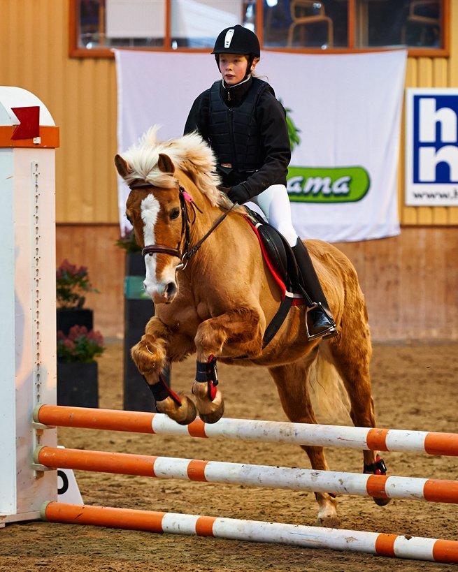 Haflinger Sissi - Lidt længere over springet:-) billede 6