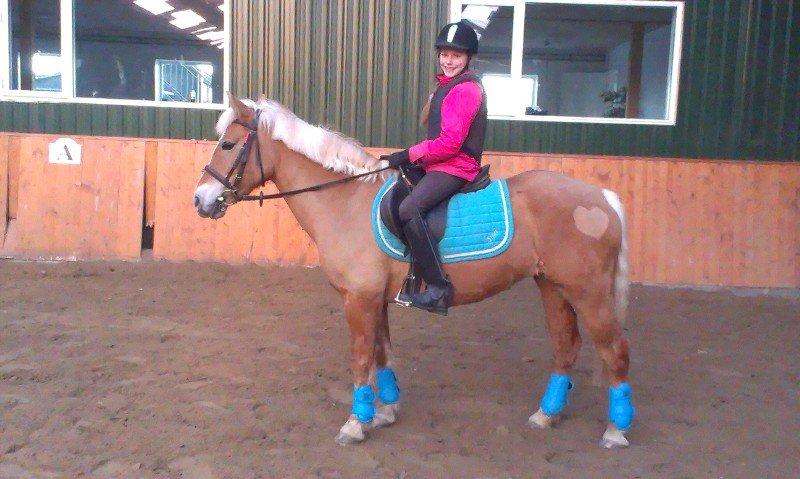 Haflinger Sissi - Sissis nye fine dressurgamacher:-) billede 20