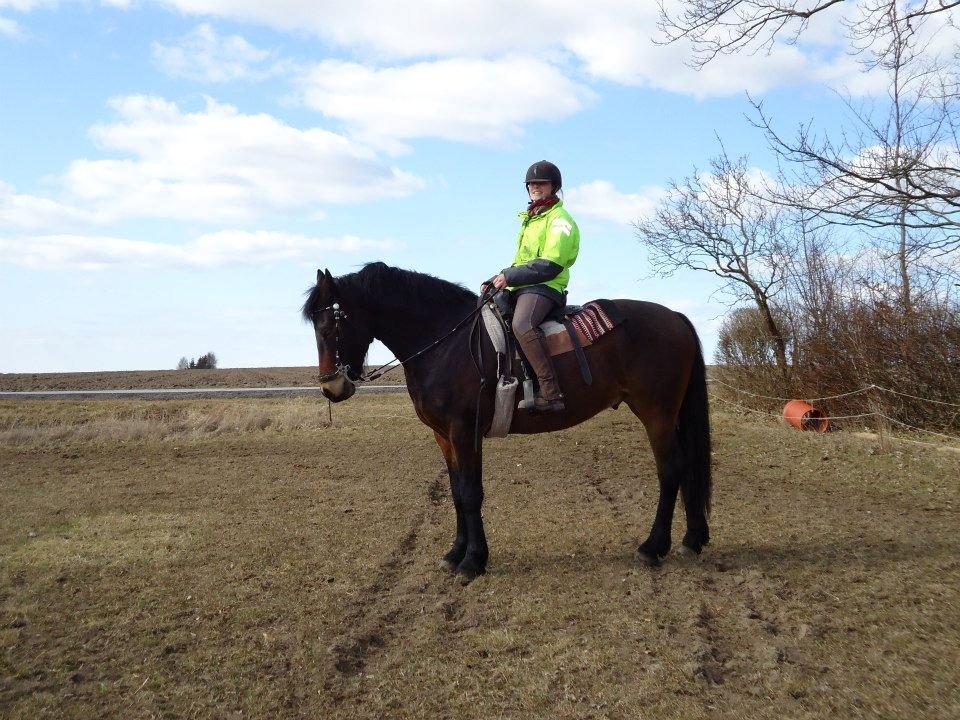 Anden særlig race Bruno - Mig på Bruno

24-3-2013
 billede 3
