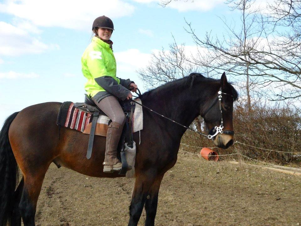 Anden særlig race Bruno - Mig på Bruno.

24-3-2013 billede 2