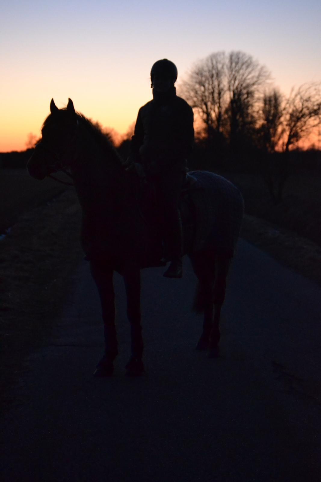 DSP LAZIONE KÆRLUND - with you world is a much better place billede 3