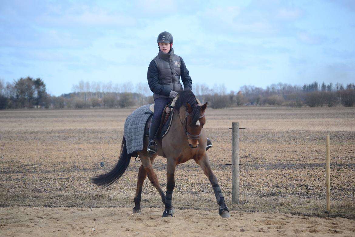 DSP LAZIONE KÆRLUND billede 11