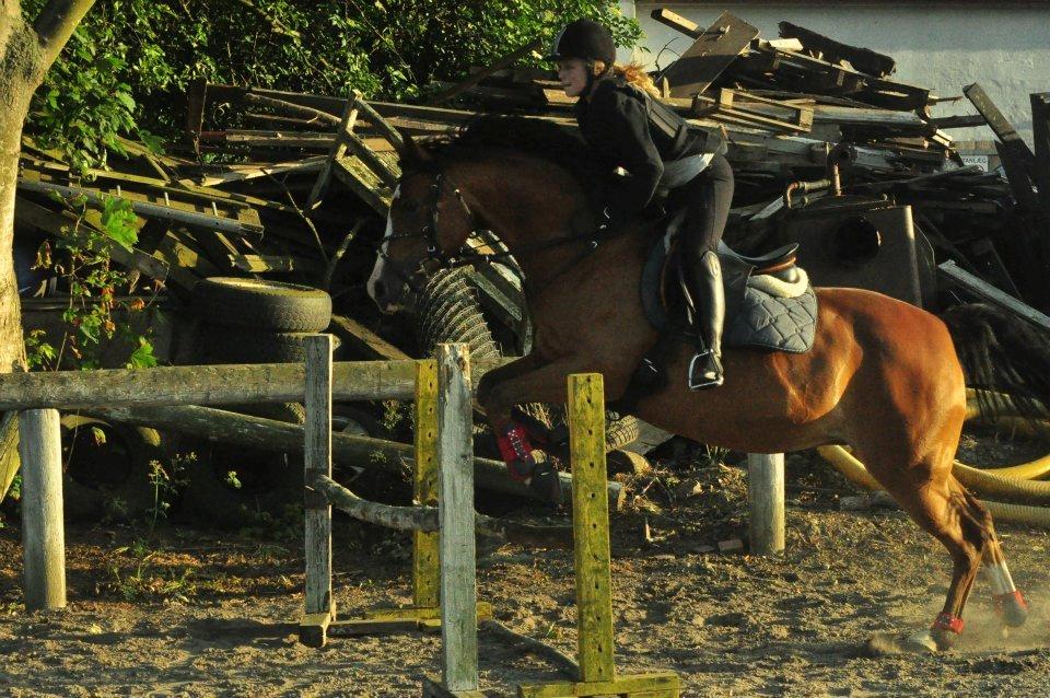 DSP Aluett <3 *min* (Savnet) - Spring. Juni 2012 billede 15