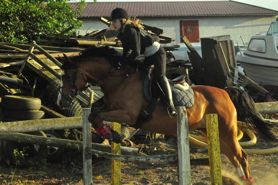 DSP Aluett <3 *min* (Savnet) - Spring. Juni 2012 billede 21