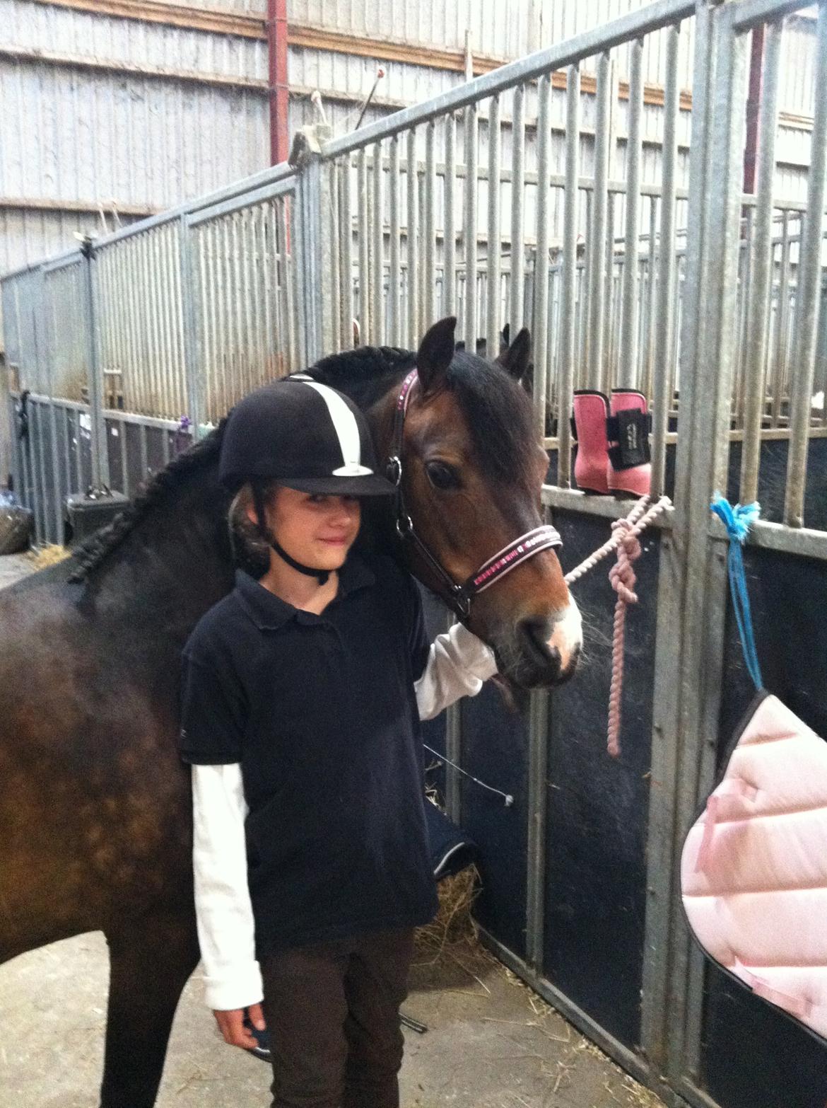 Dartmoor muehlenmoor sandrina<3 - så skal der sadles op på vilhelmsborg billede 13