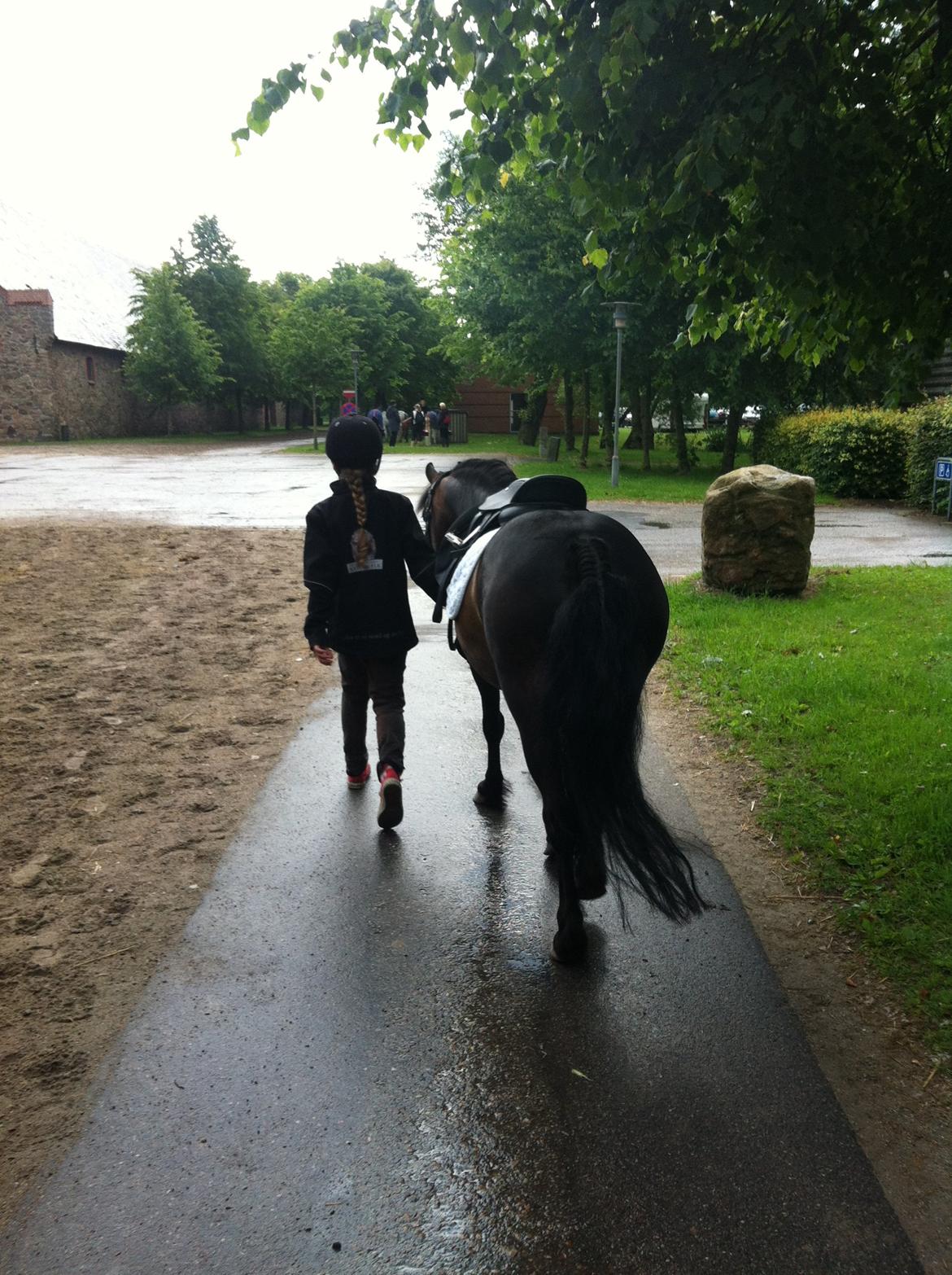 Dartmoor muehlenmoor sandrina<3 - når enden er god er alting godt billede 19
