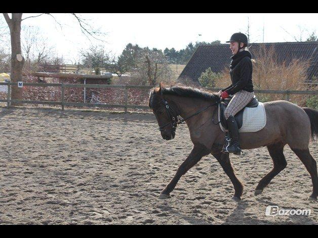 Anden særlig race Malou - Red lige den søde pony <3 Foto: Emilia billede 20