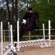 Anden særlig race Black Shadow