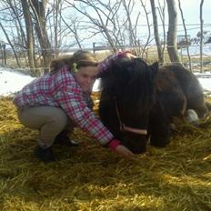 Dartmoor perle my soulmate !!!<3*stjerneponyen*