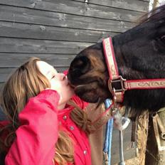 Dartmoor perle my soulmate !!!<3*stjerneponyen*
